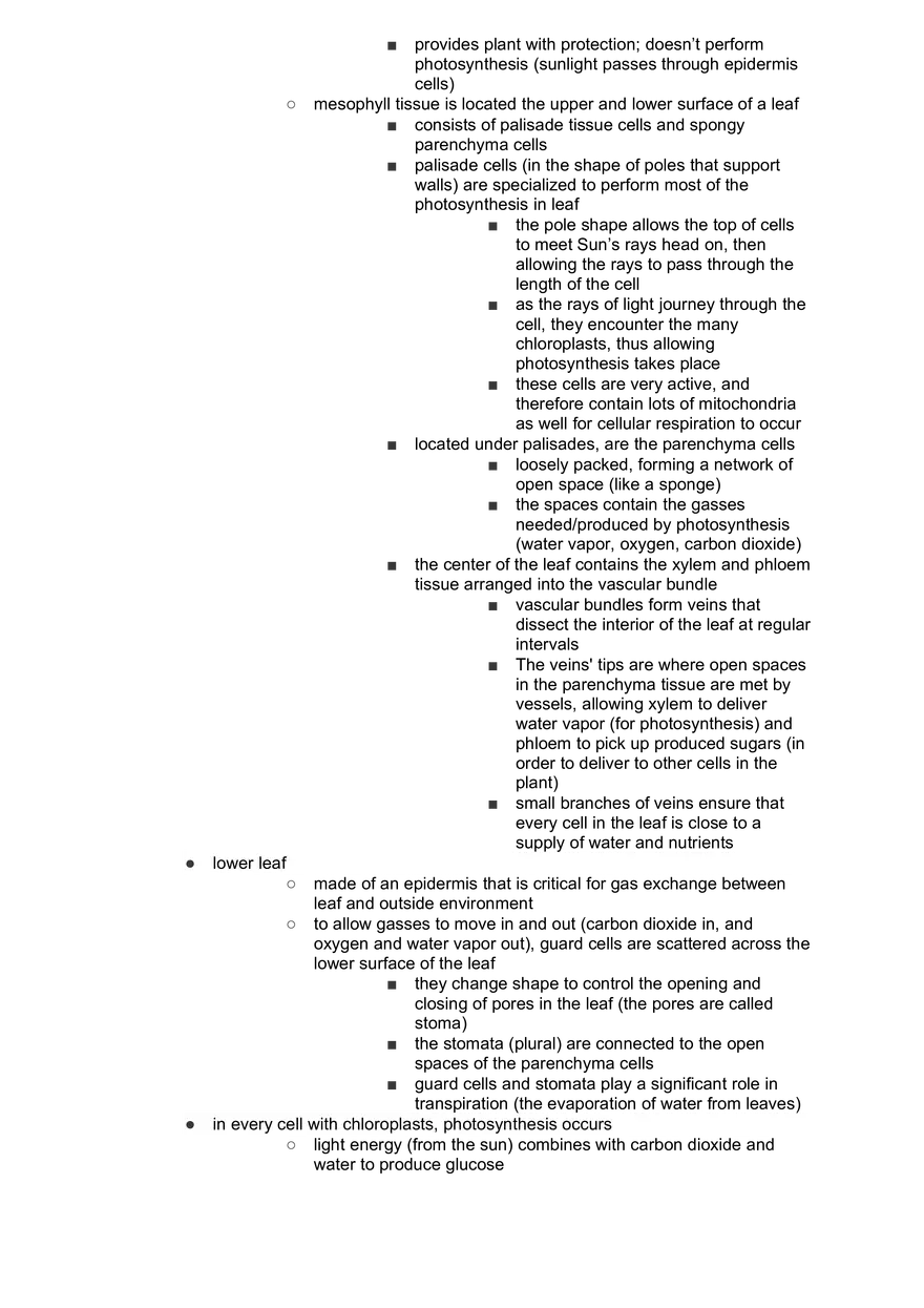 Academic Science Biology Plant Tissues - Page 3
