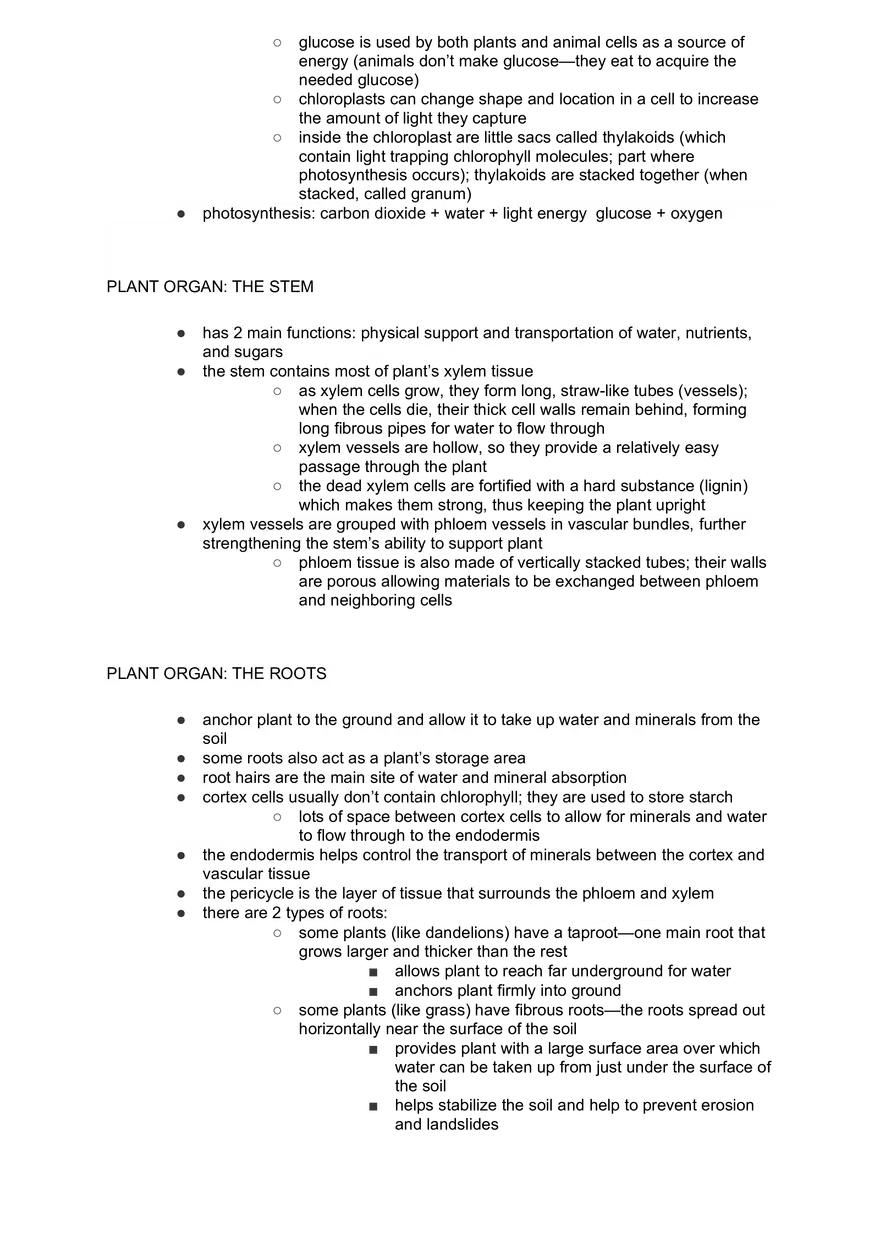 Academic Science Biology Plant Tissues - Page 4