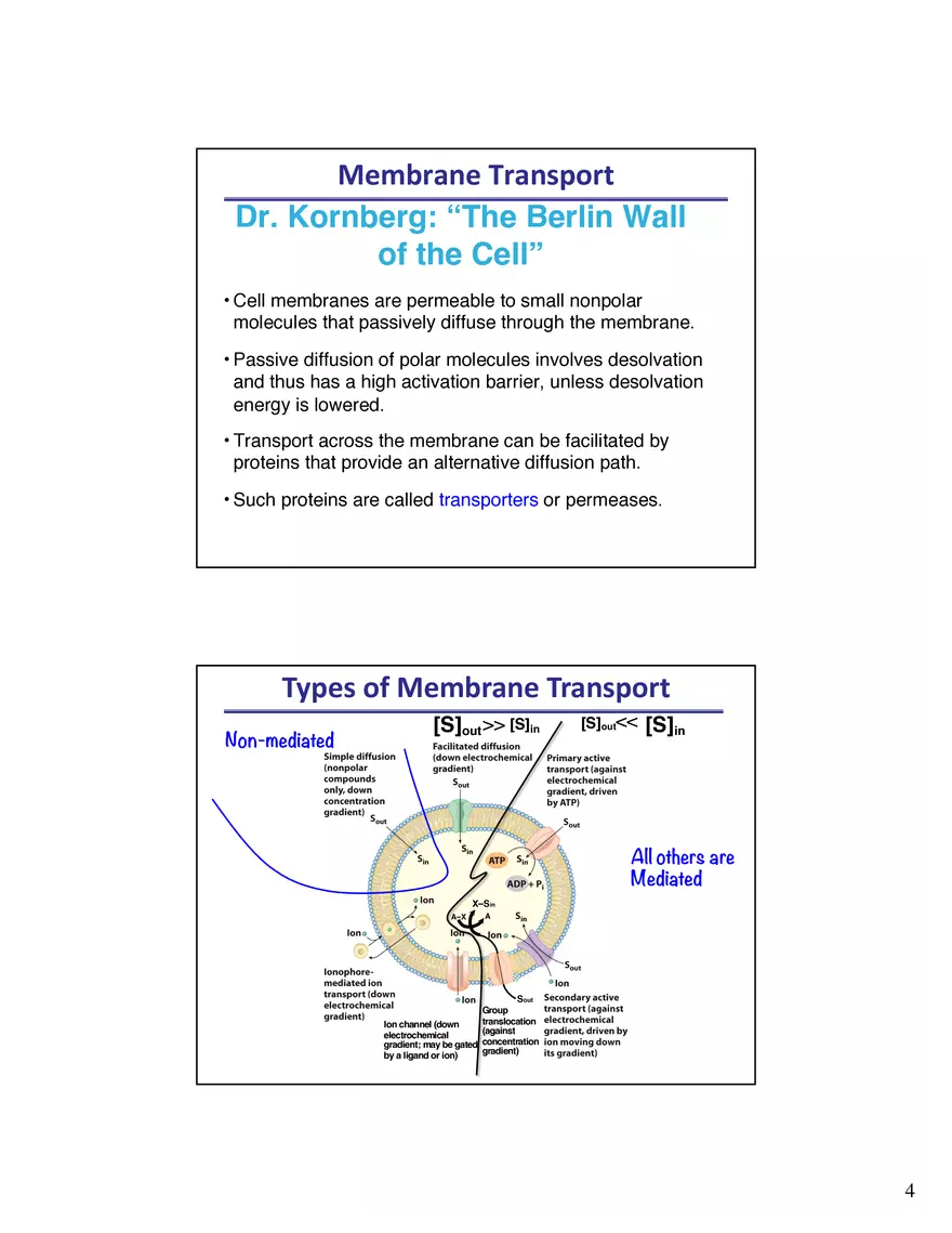 Biological Membrane Transport - Crossing the Berlin Wall of the Cell - Page 7