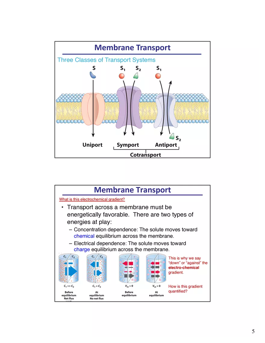 Biological Membrane Transport - Crossing the Berlin Wall of the Cell - Page 8