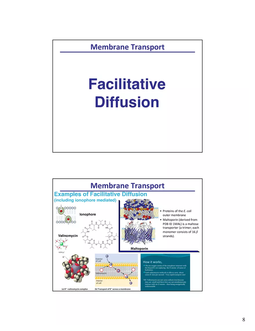 Biological Membrane Transport - Crossing the Berlin Wall of the Cell - Page 11