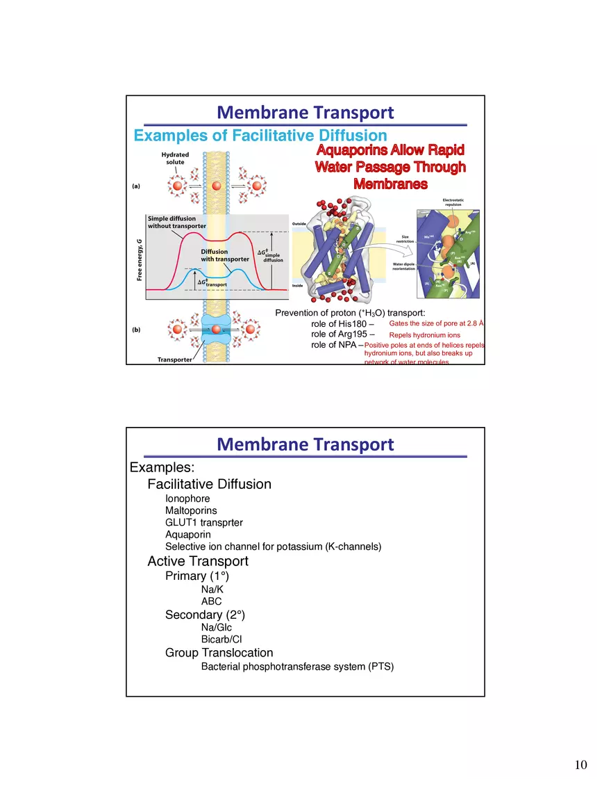 Biological Membrane Transport - Crossing the Berlin Wall of the Cell - Page 13