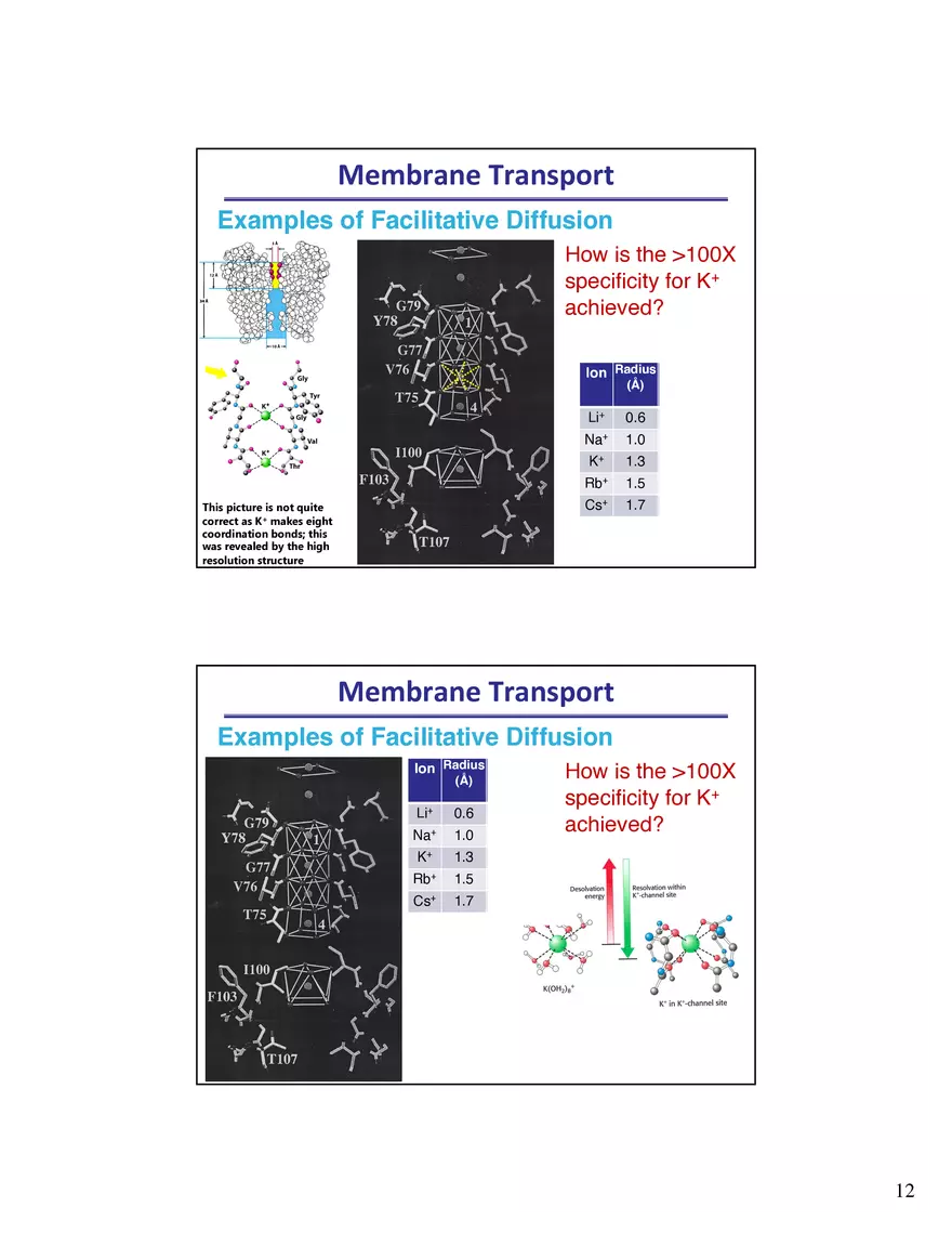 Biological Membrane Transport - Crossing the Berlin Wall of the Cell - Page 4