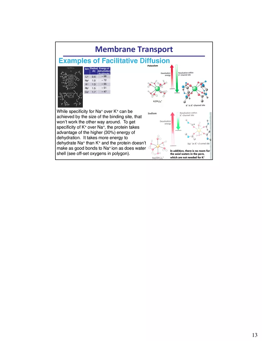 Biological Membrane Transport - Crossing the Berlin Wall of the Cell - Page 5