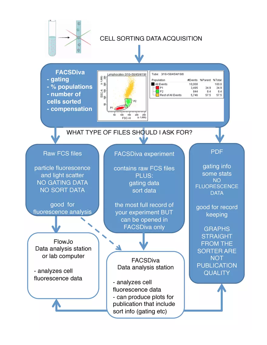 Cell Sorting Data Acquisition - Page 1