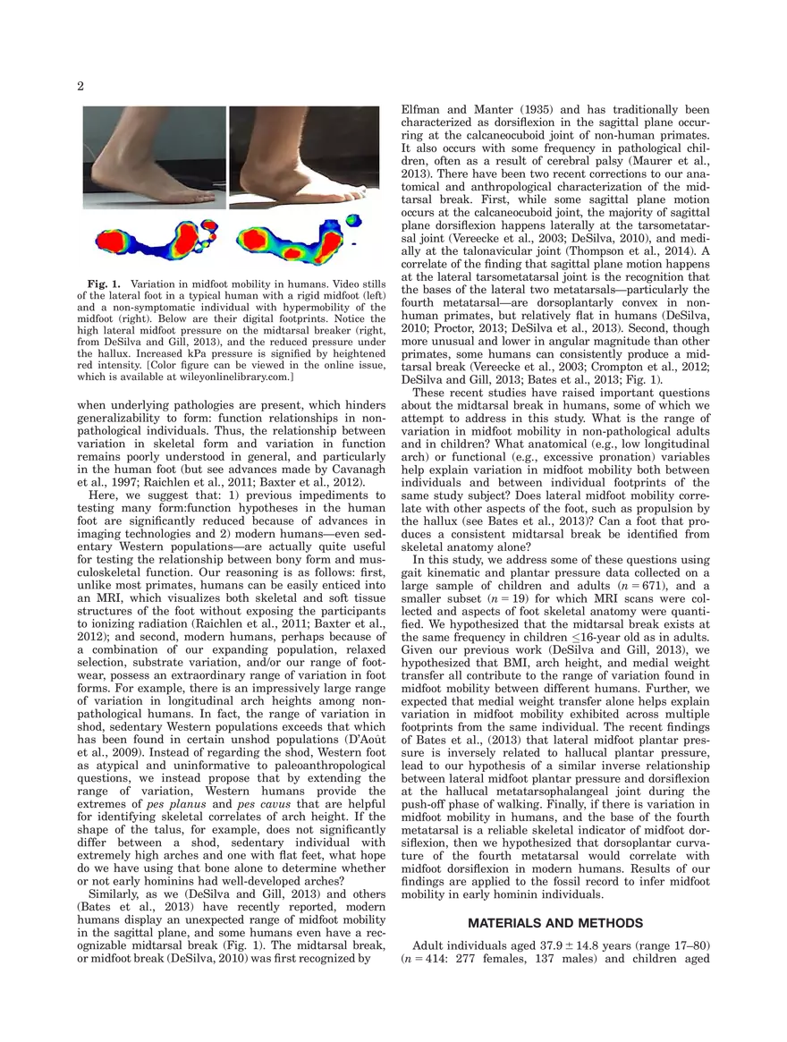 Midtarsal Break Variation in Modern Humans - Page 2