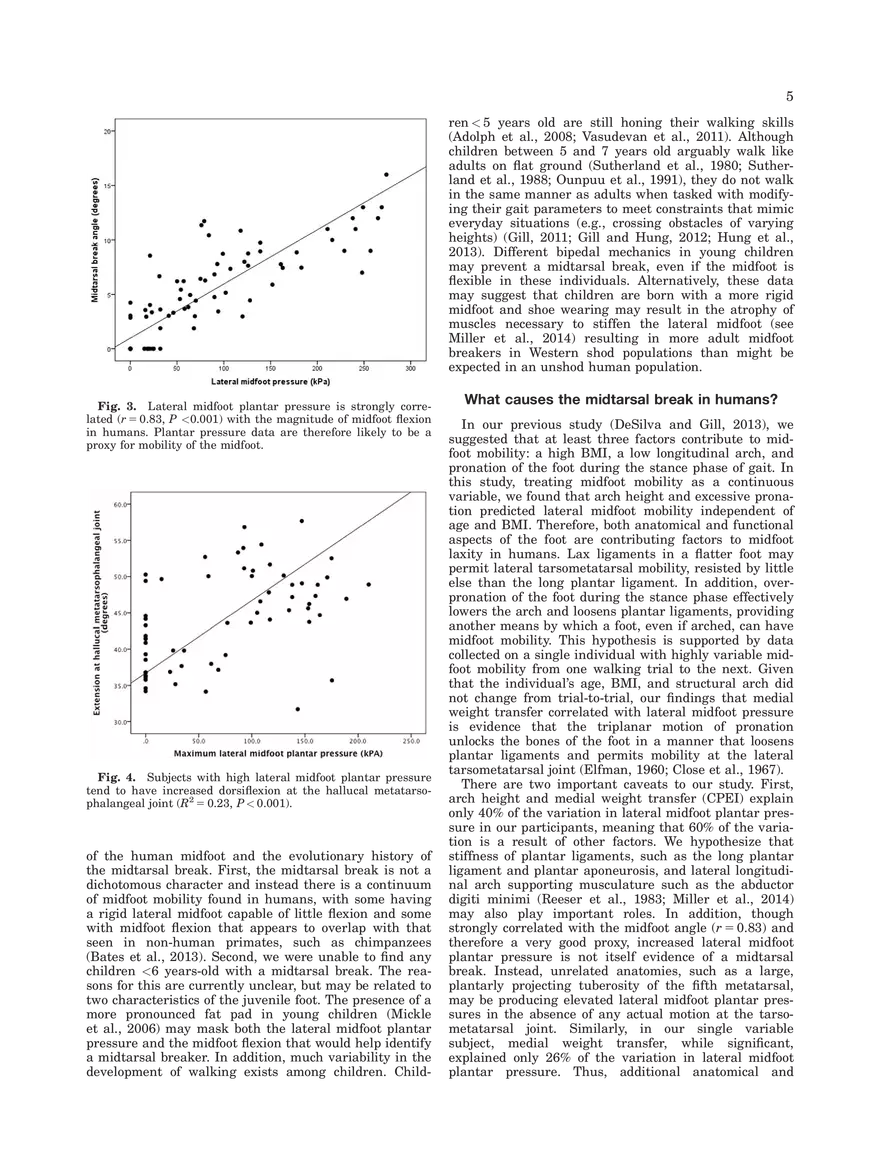 Midtarsal Break Variation in Modern Humans - Page 5