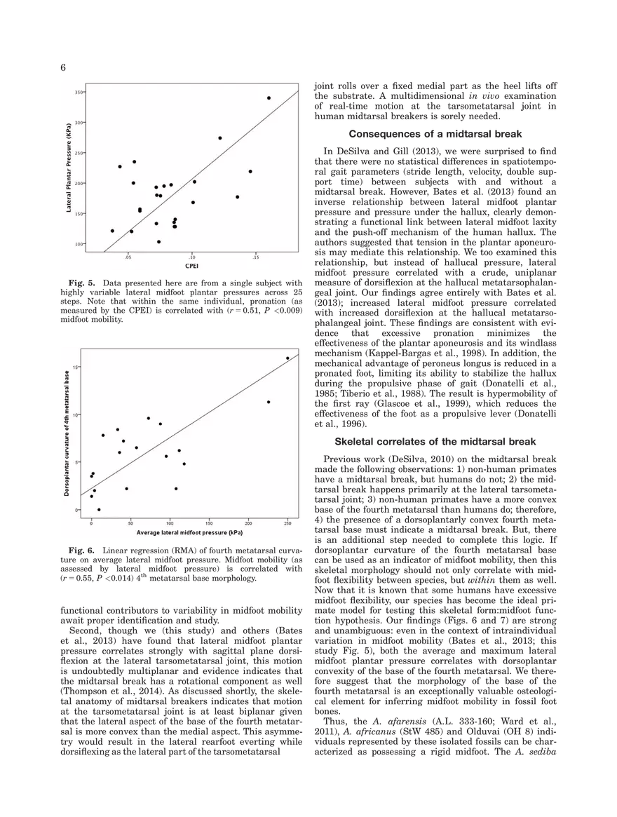 Midtarsal Break Variation in Modern Humans - Page 6