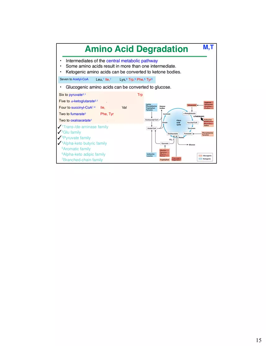 Amino Acids Intermediates of the Central Metabolic Pathway - Page 7