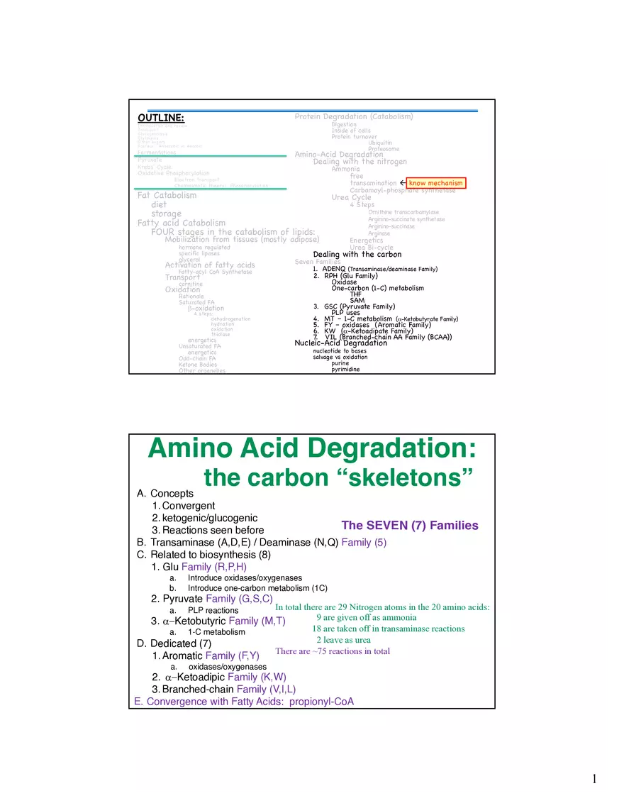 Amino Acids Intermediates of the Central Metabolic Pathway - Page 1