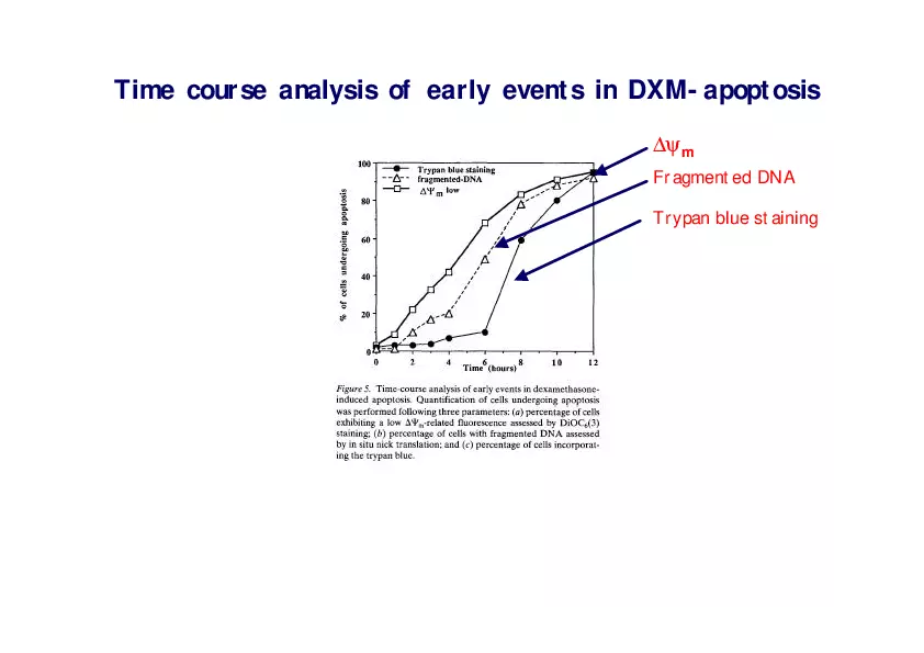 Analysis of Apoptosis by Flow-cytometry - Page 8