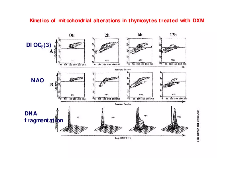 Analysis of Apoptosis by Flow-cytometry - Page 6