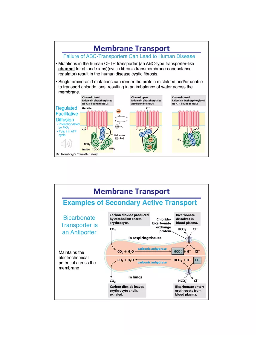 Membrane Active Transport - Page 10
