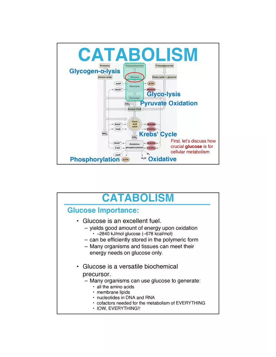 Membrane Active Transport - Page 14