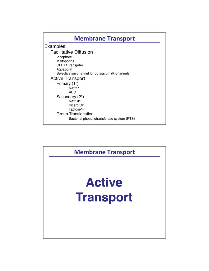 Membrane Active Transport - Page 1