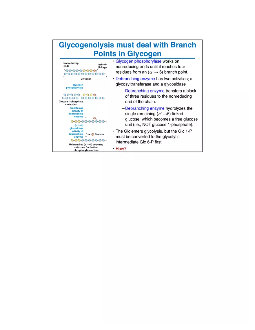 Membrane Active Transport - Page 6