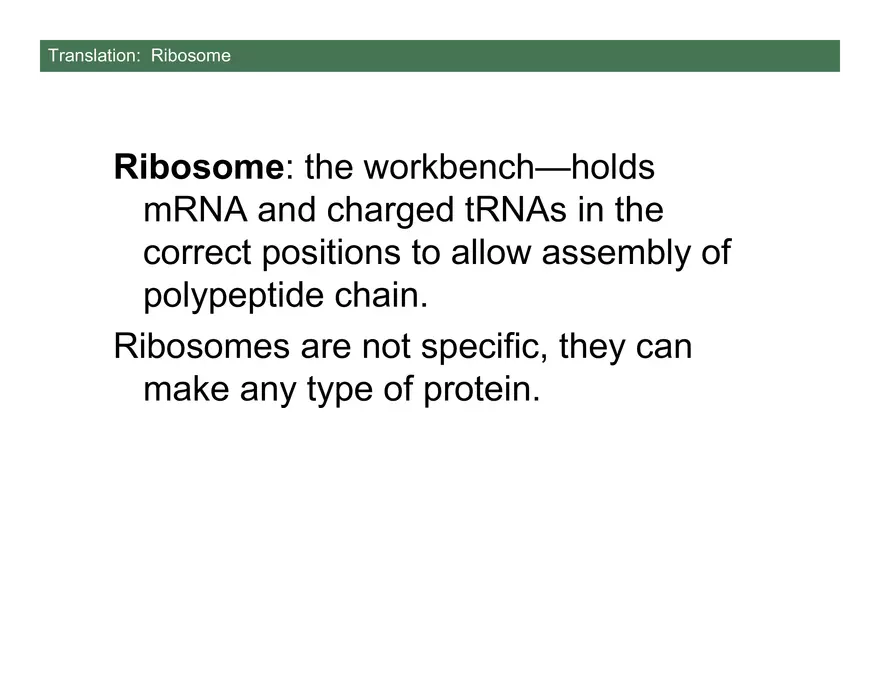 Nucleotide and Nucleic Acid Structure Lecture Note - Transcription - Page 8