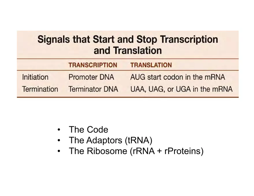 Nucleotide and Nucleic Acid Structure Lecture Note - Transcription - Page 21