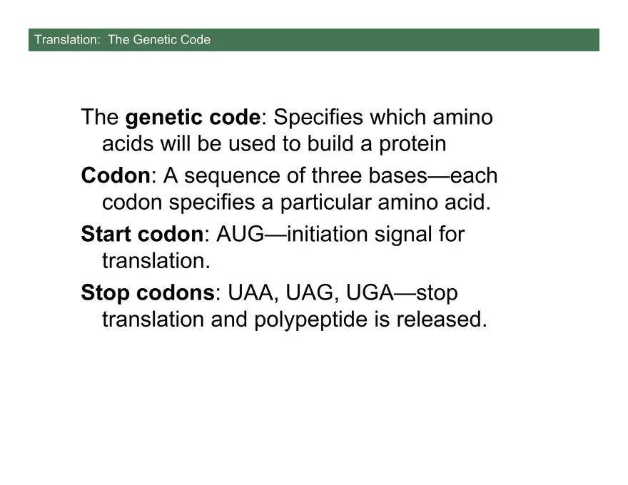 Nucleotide and Nucleic Acid Structure Lecture Note - Transcription - Page 3
