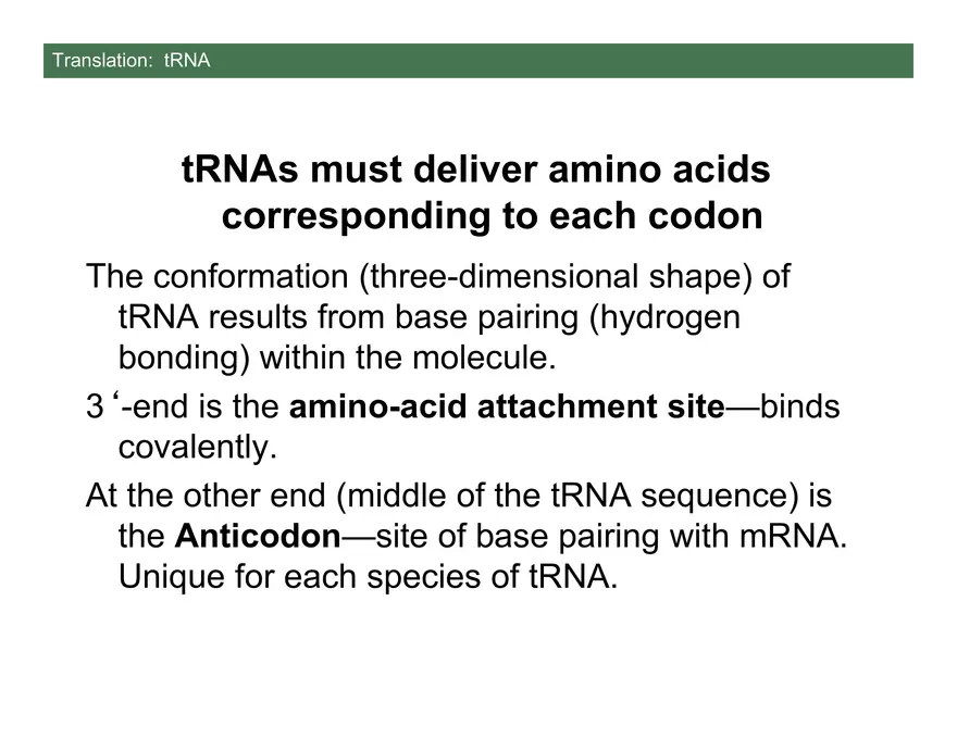 Nucleotide and Nucleic Acid Structure Lecture Note - Transcription - Page 5