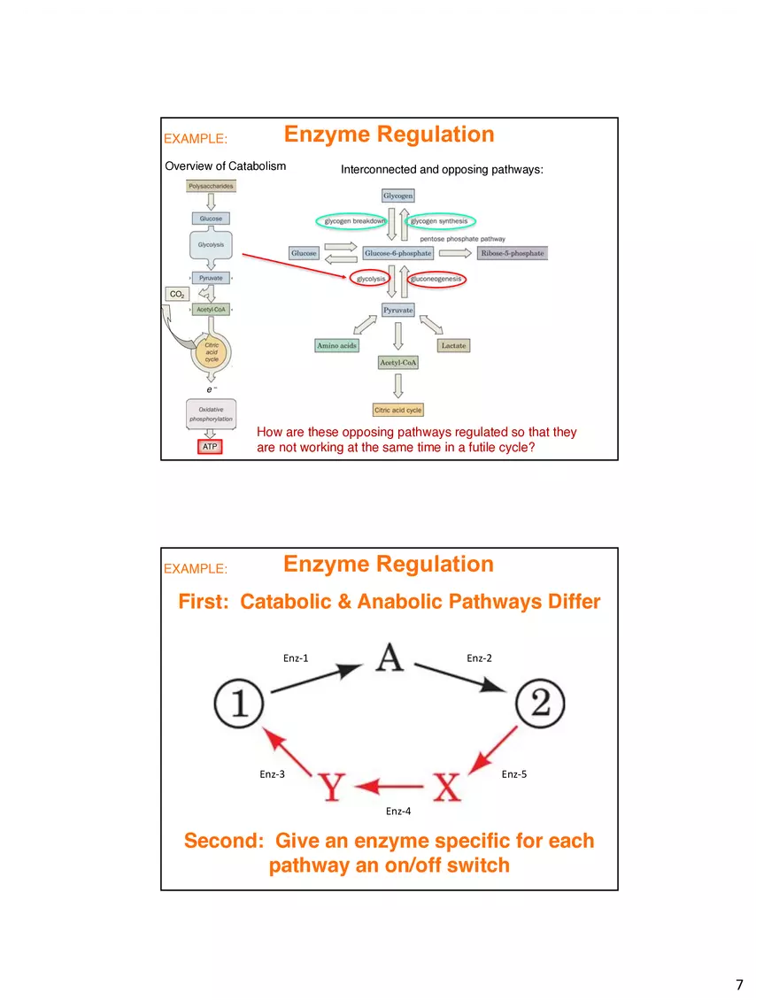 Enzyme Mechanisms Lecture Note - Page 8