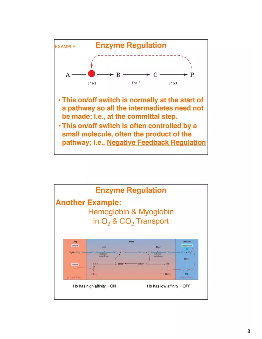 Enzyme Mechanisms Lecture Note - Page 9