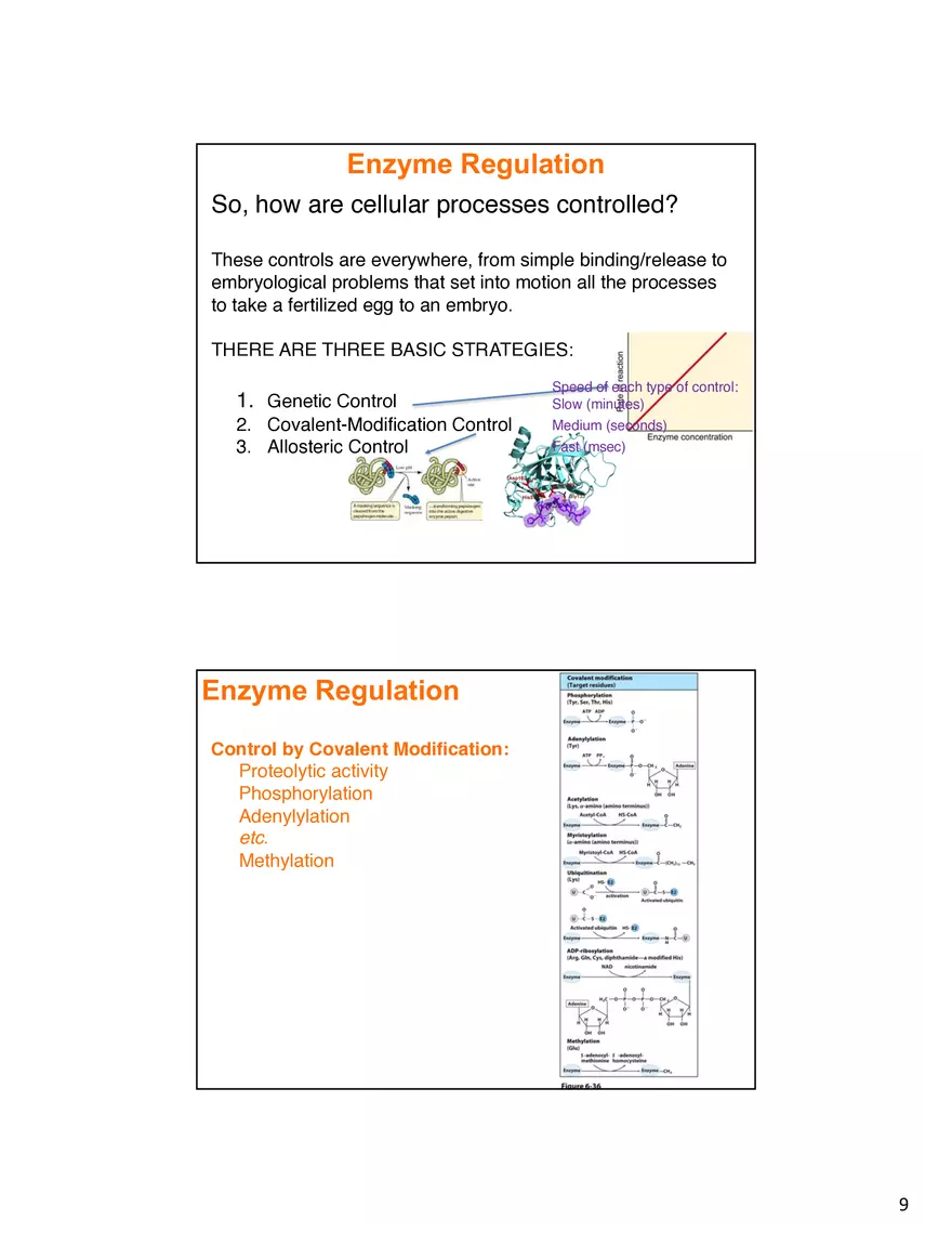 Enzyme Mechanisms Lecture Note - Page 10
