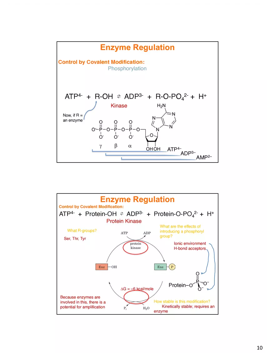 Enzyme Mechanisms Lecture Note - Page 11