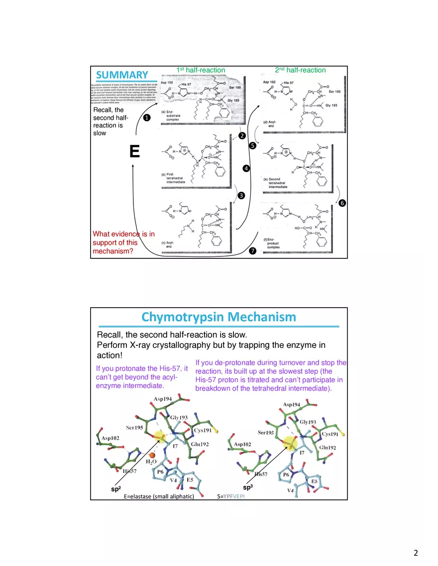 Enzyme Mechanisms Lecture Note - Page 2