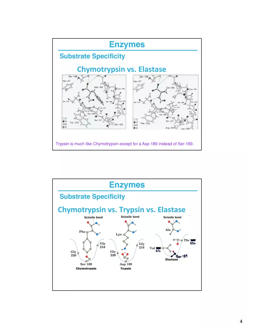 Enzyme Mechanisms Lecture Note - Page 5