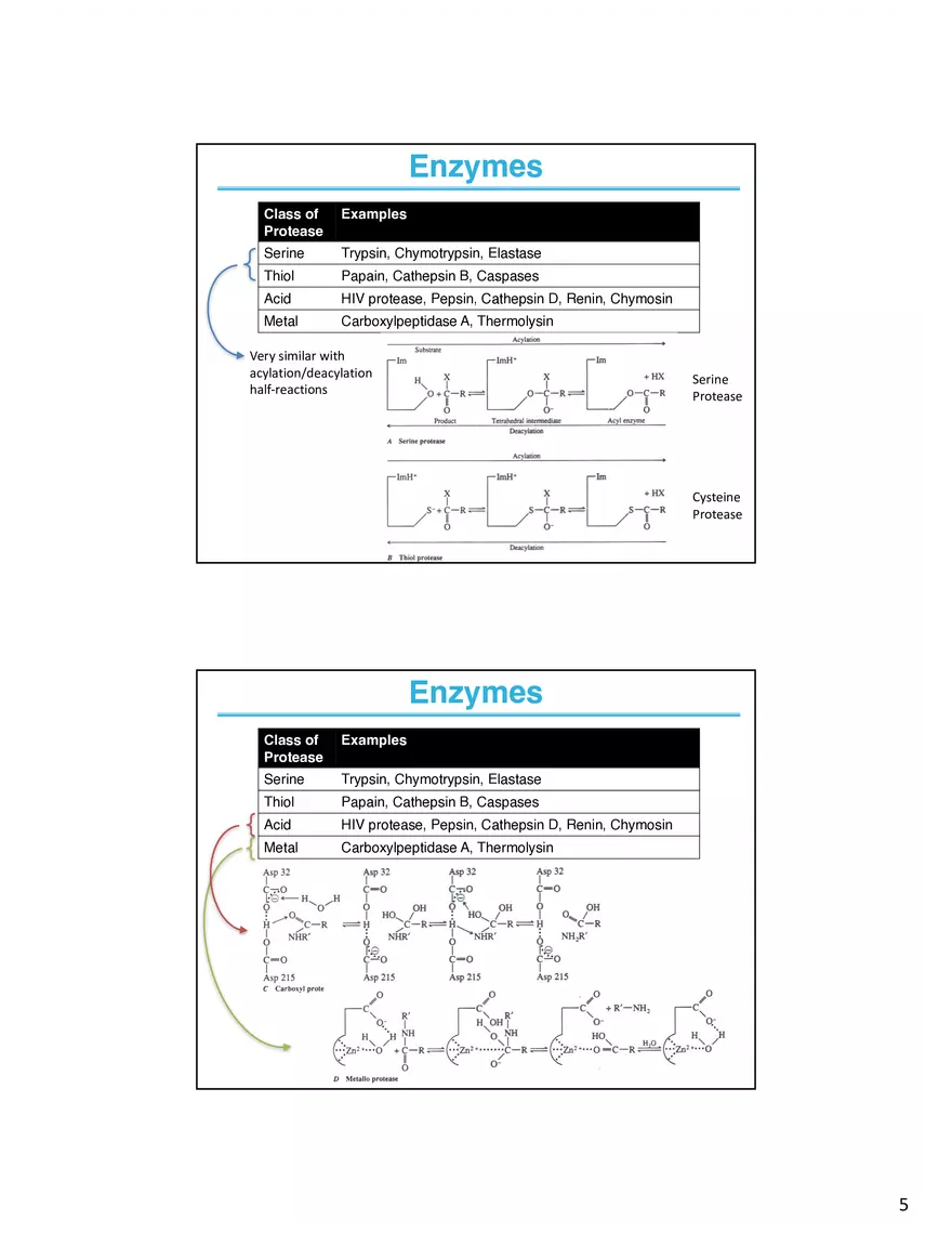 Enzyme Mechanisms Lecture Note - Page 6