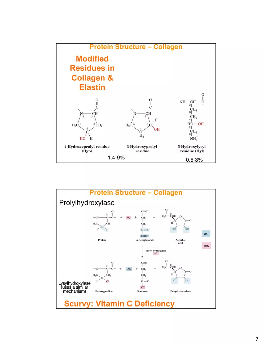 Protein Structure - Collagen - Page 7