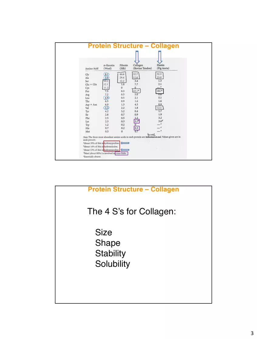 Protein Structure - Collagen - Page 3