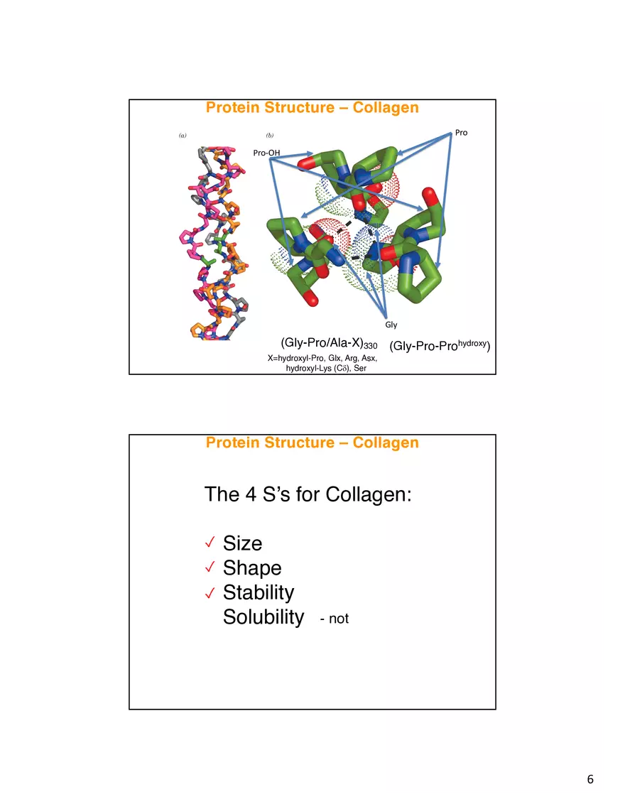 Protein Structure - Collagen - Page 6