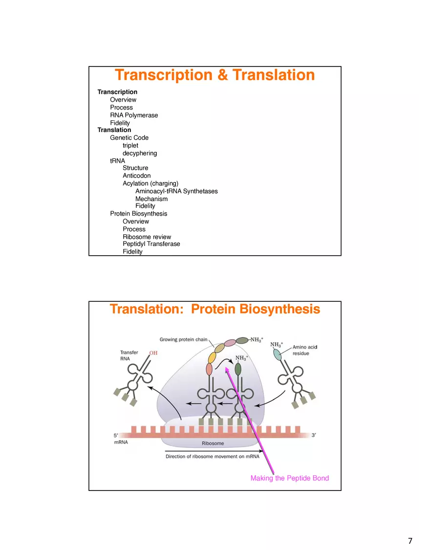 Nucleic Acids Translation tRNA and Protein Biosynthesis - Page 14
