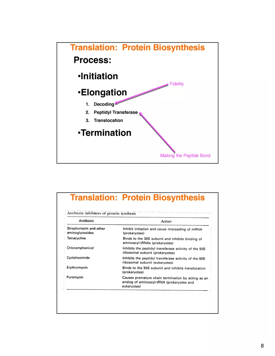 Nucleic Acids Translation tRNA and Protein Biosynthesis - Page 15