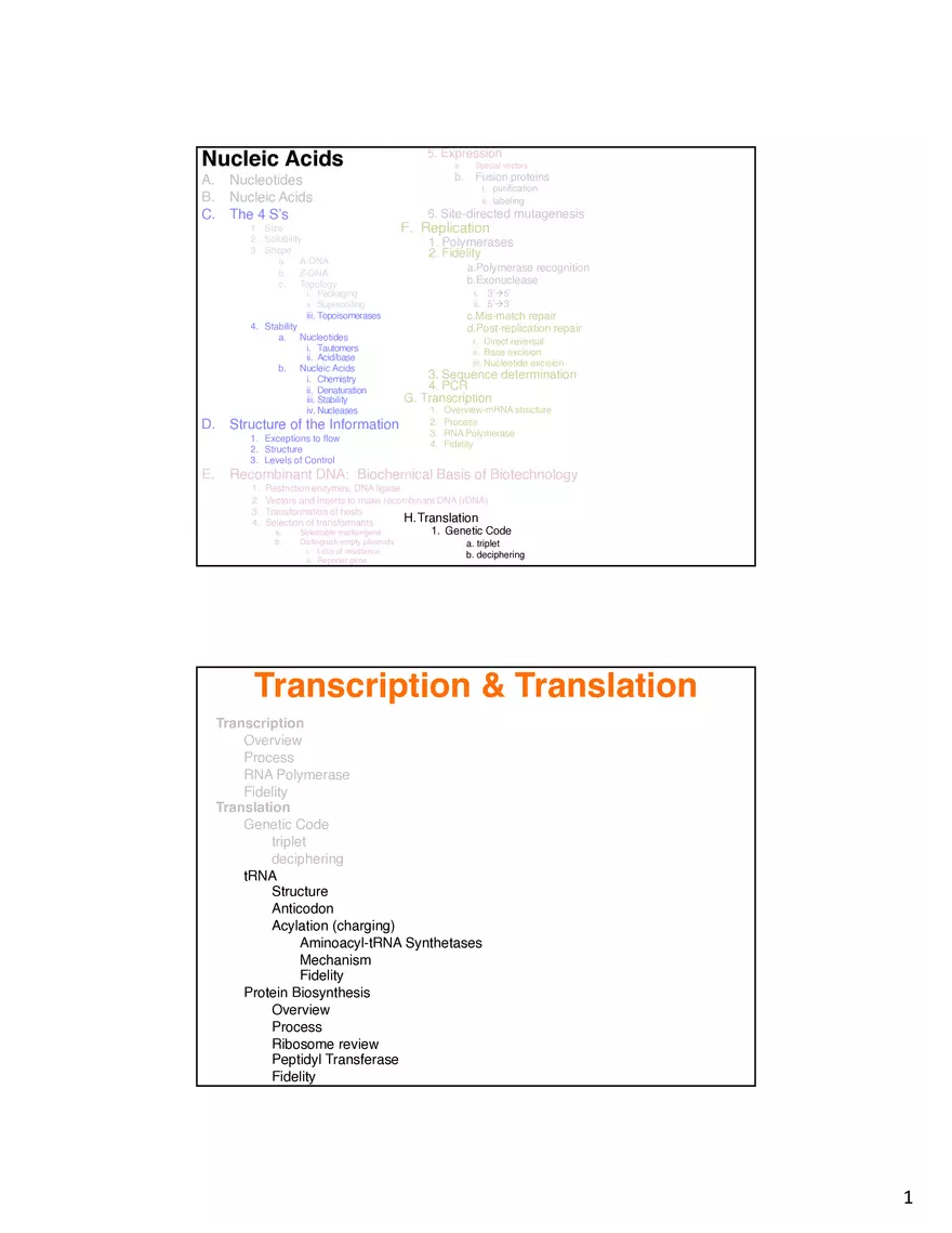 Nucleic Acids Translation tRNA and Protein Biosynthesis - Page 1