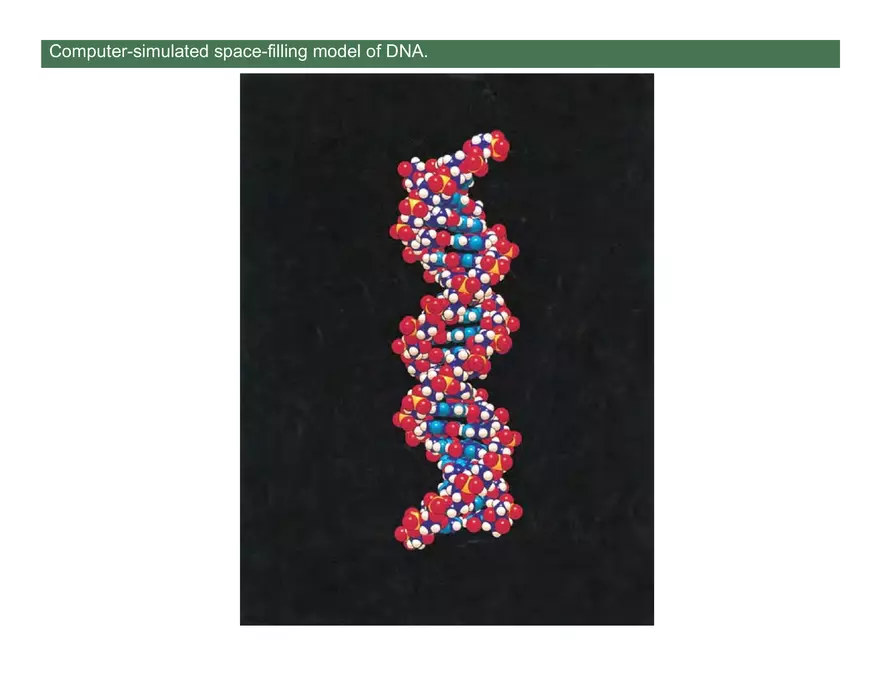 Nucleotide and Nucleic Acid Structure Lecture Note - Page 18