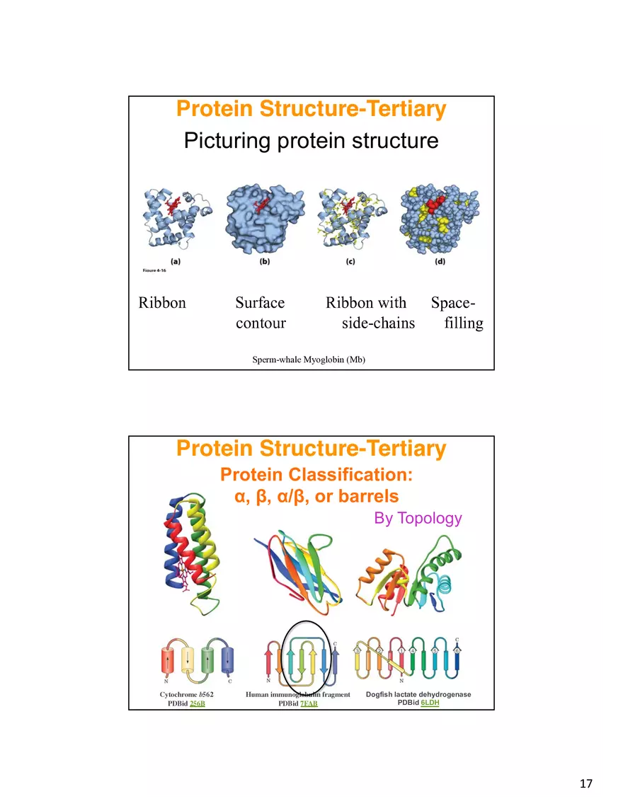 Secondary Structure Protein - Page 9