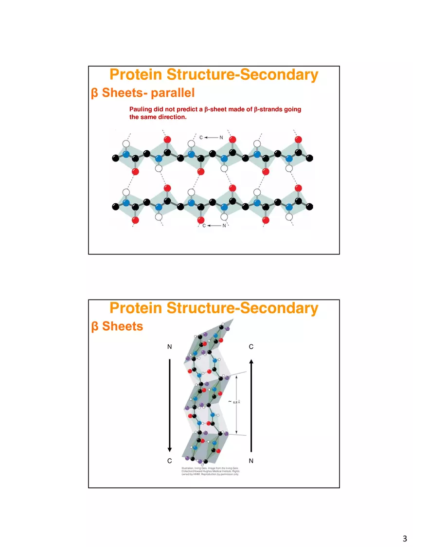 Secondary Structure Protein - Page 10