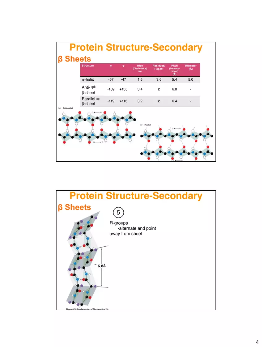 Secondary Structure Protein - Page 11