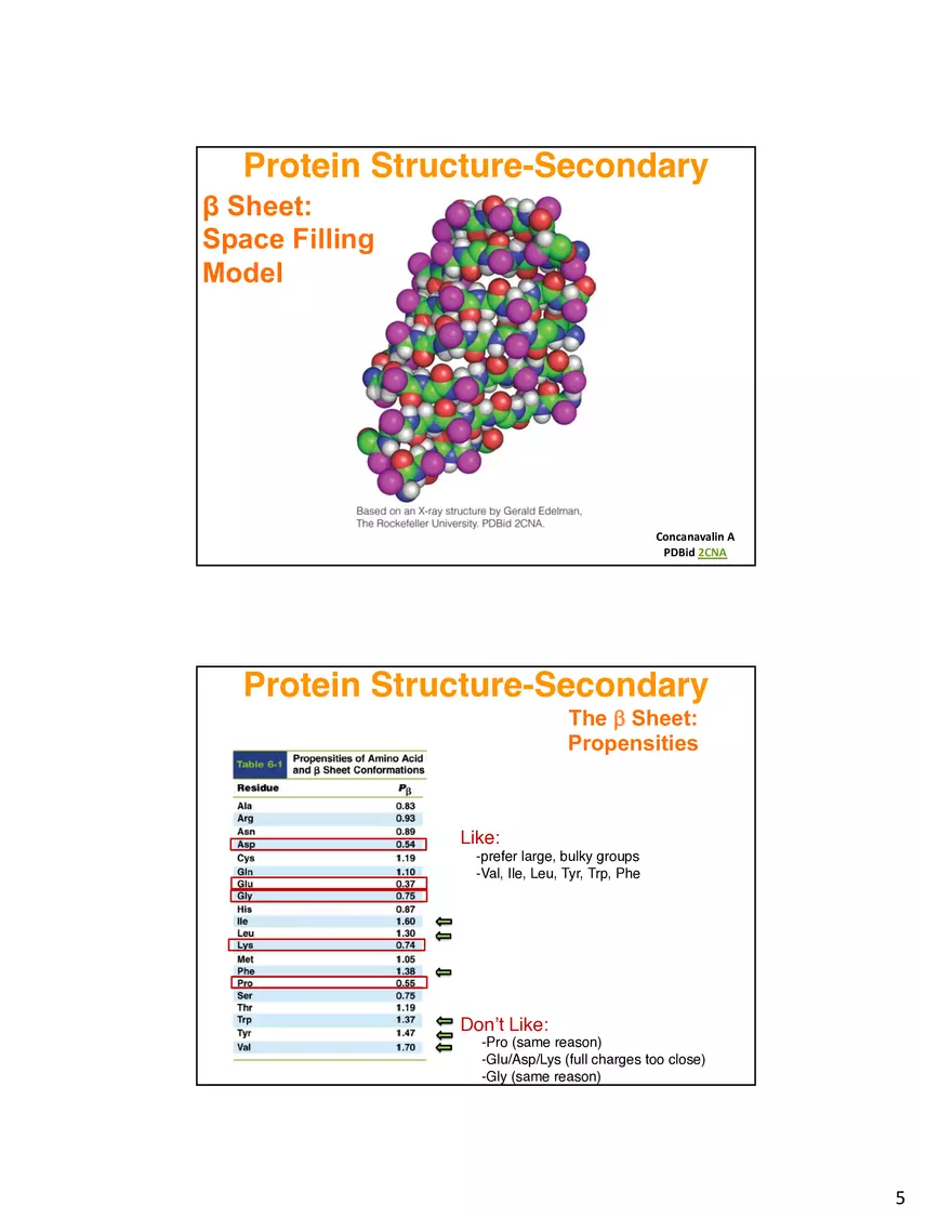 Secondary Structure Protein - Page 12