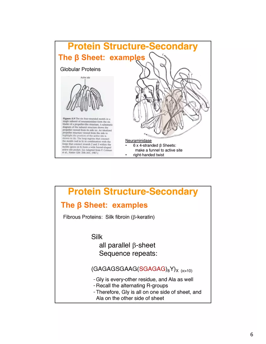 Secondary Structure Protein - Page 13