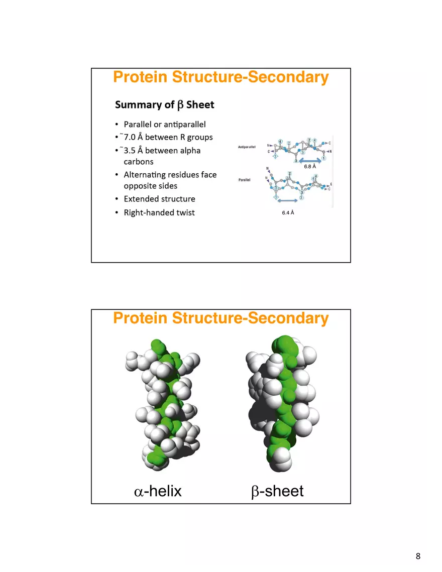 Secondary Structure Protein - Page 15