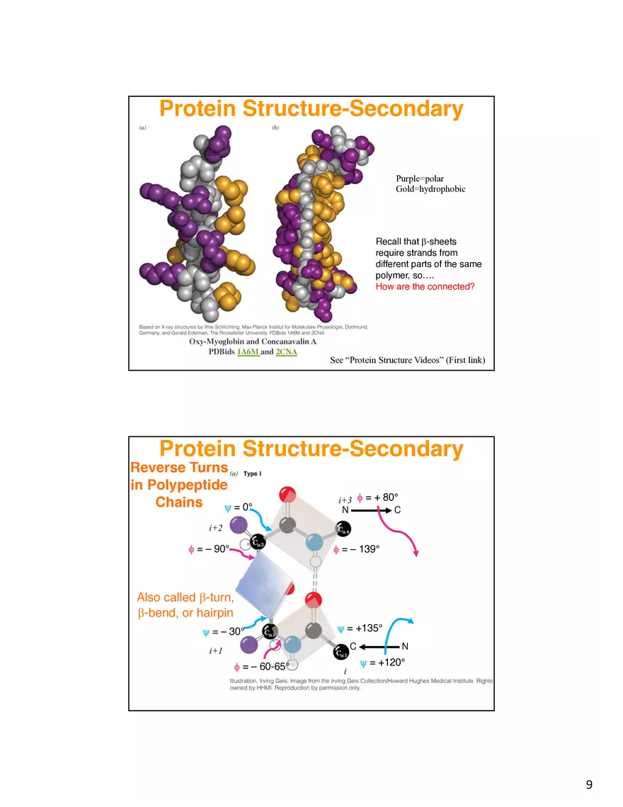 Secondary Structure Protein - Page 16