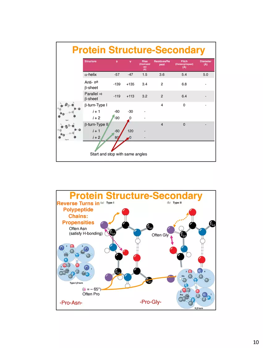 Secondary Structure Protein - Page 17