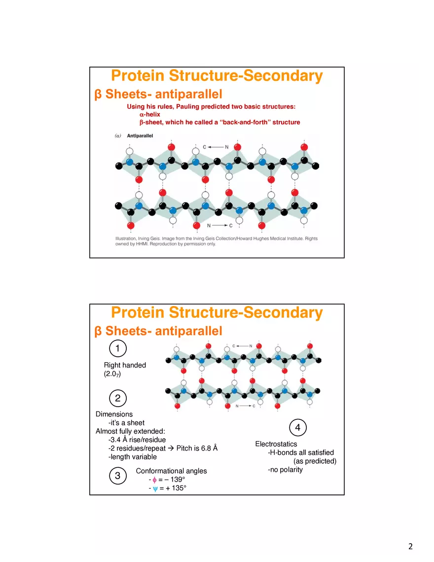 Secondary Structure Protein - Page 2