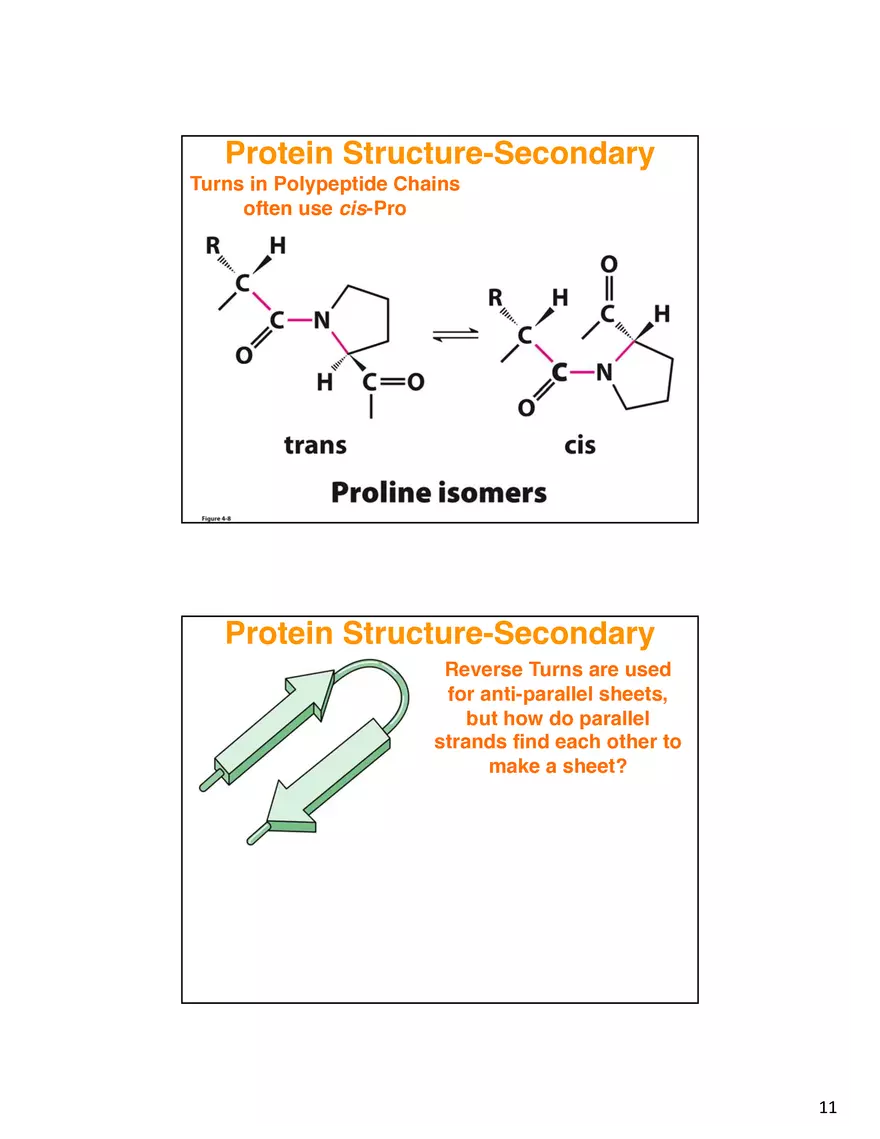 Secondary Structure Protein - Page 3