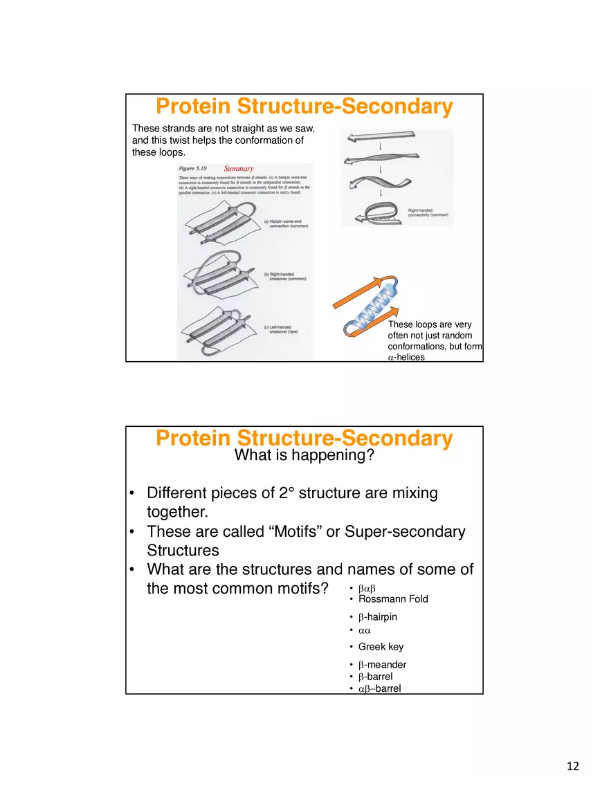 Secondary Structure Protein - Page 4
