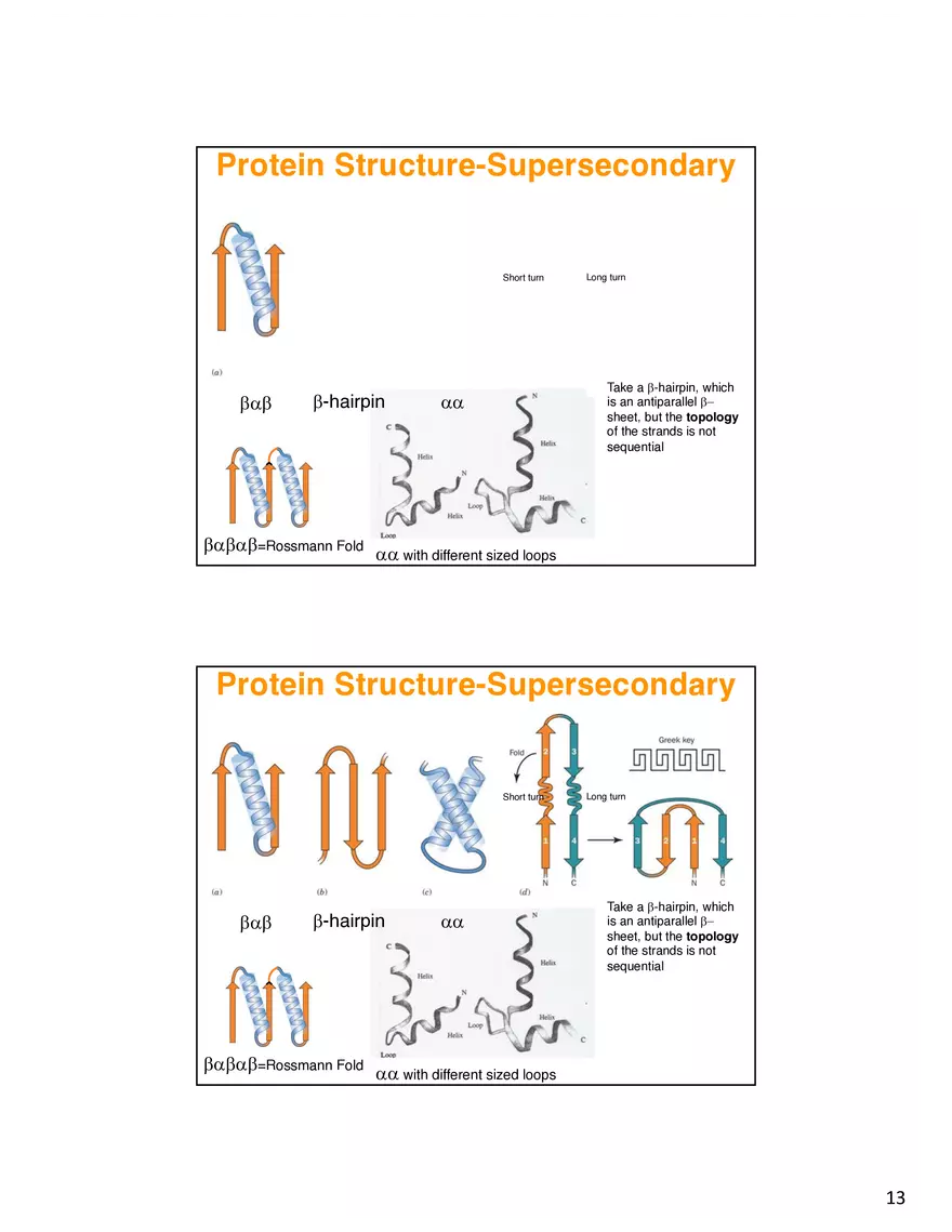Secondary Structure Protein - Page 5